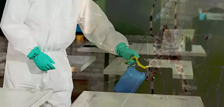 Why Buyers Still Want Homes With Pest Infestations in Sheldon, IA?