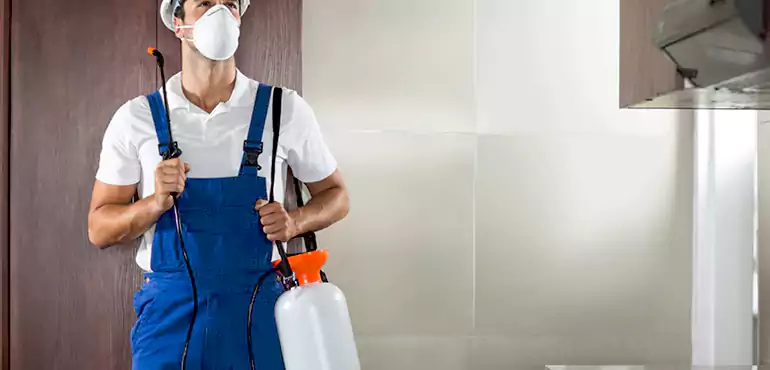 Why Sheldon Homeowners Choose Us When Pests Make Selling Difficult