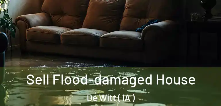  Sell Flood-damaged House De Witt ( IA )