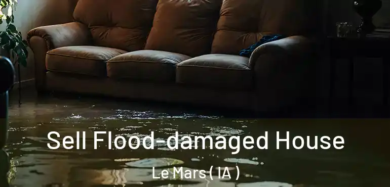  Sell Flood-damaged House Le Mars ( IA )