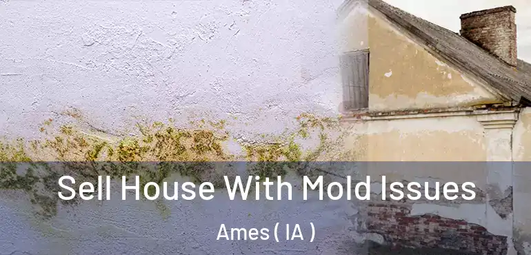  Sell House With Mold Issues Ames ( IA )