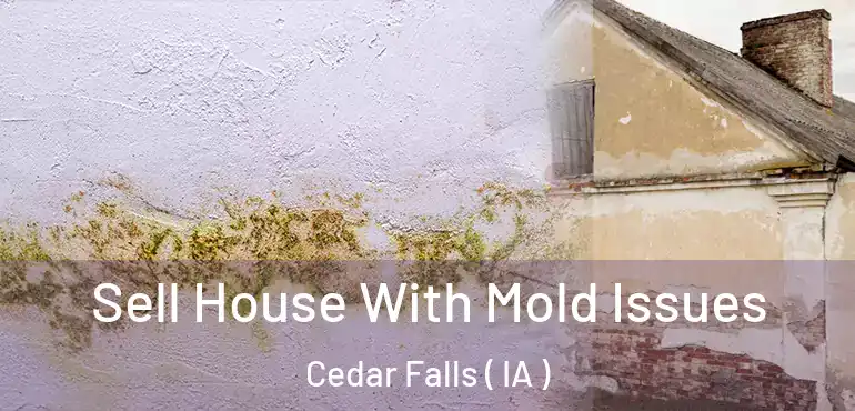  Sell House With Mold Issues Cedar Falls ( IA )