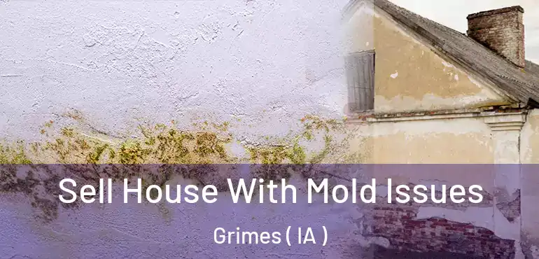  Sell House With Mold Issues Grimes ( IA )