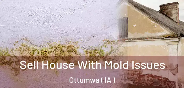  Sell House With Mold Issues Ottumwa ( IA )