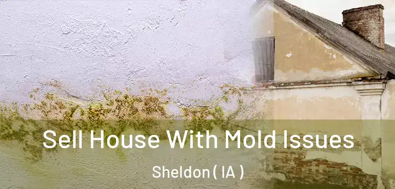  Sell House With Mold Issues Sheldon ( IA )